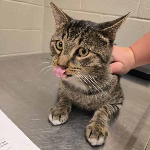 Russet: Visit me at Martin's Paw Mart!