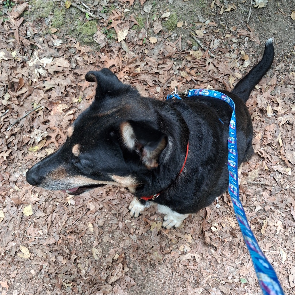 Louie, photo 8