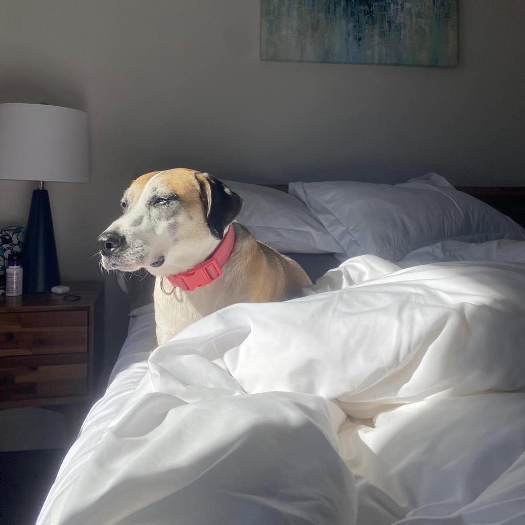 Brady, photo 8