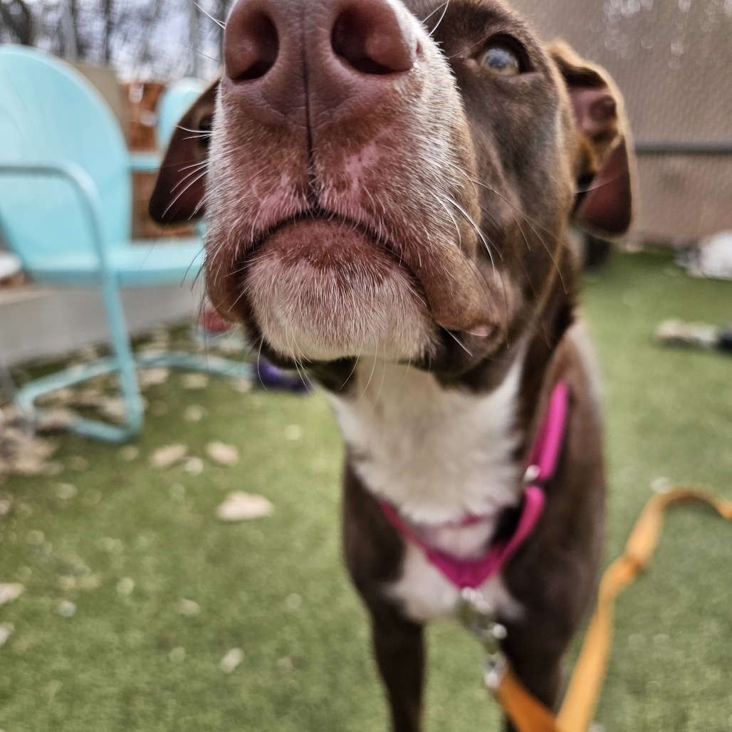 Sandy Seashore — thumbnail 4