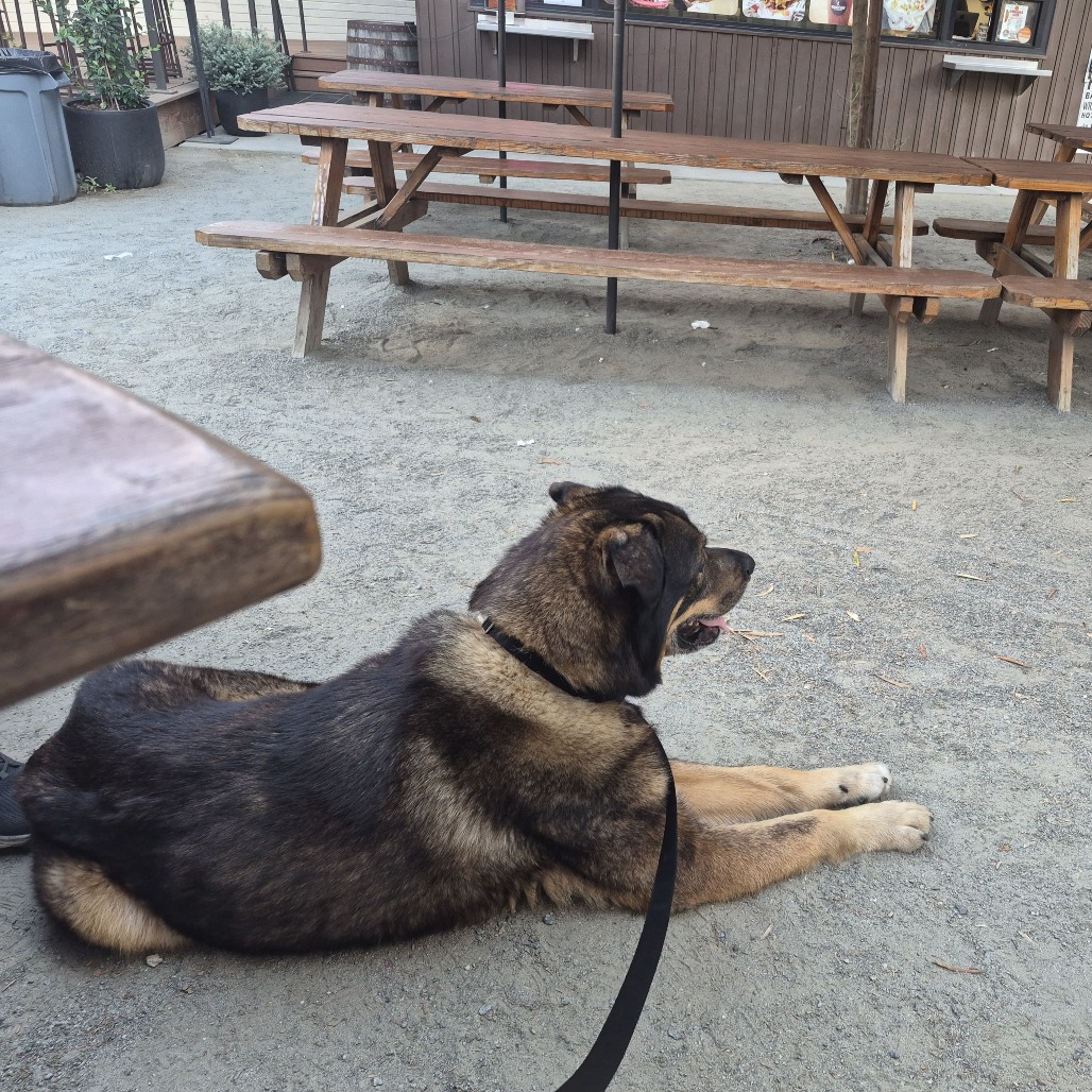Bucky, photo 9