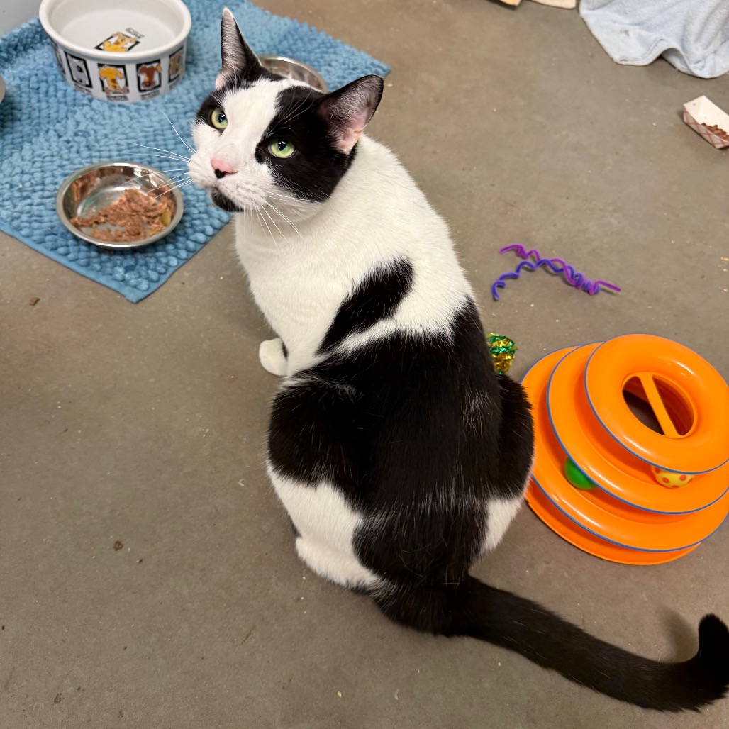 Photo of QZ and Freddy 11