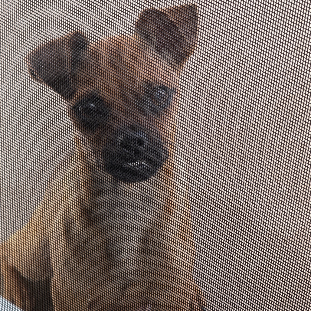 Matilda (*), photo 2