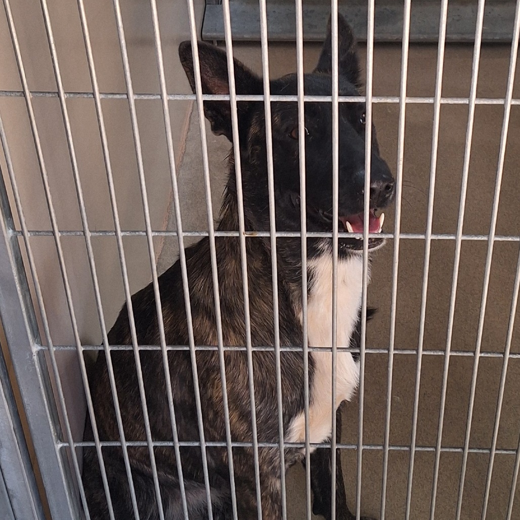 Kennel#2 Eliza's preview photo