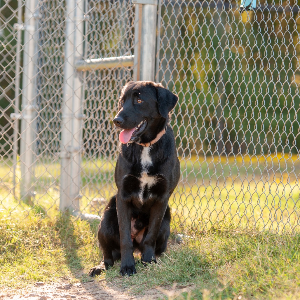 Ernie, photo 7