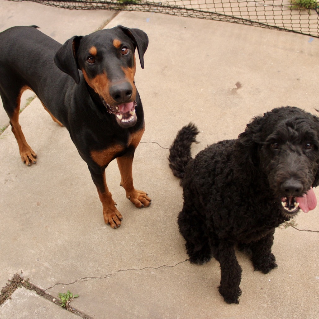 Thor photo 29