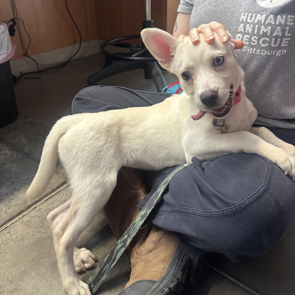 Photo of Squirrel  6