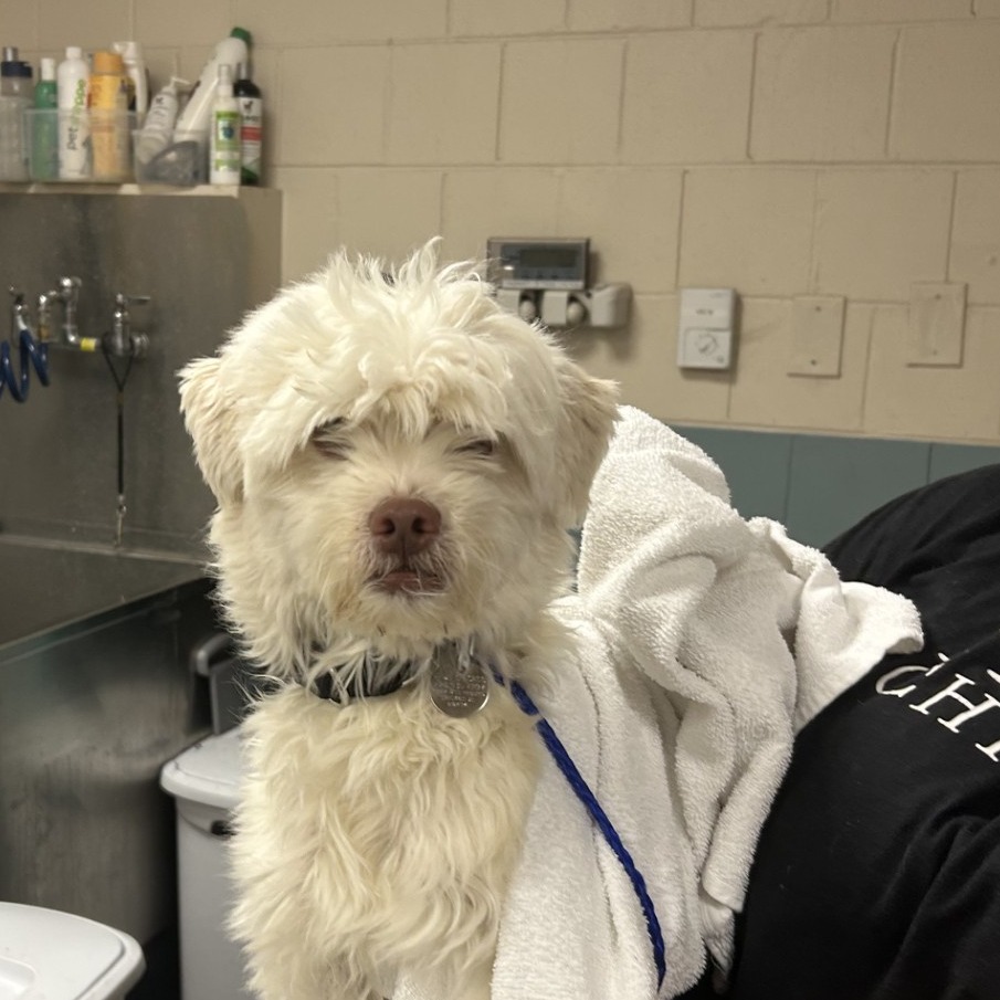 Lazio — thumbnail 2