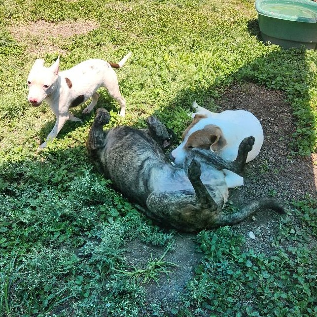 Murph photo 20