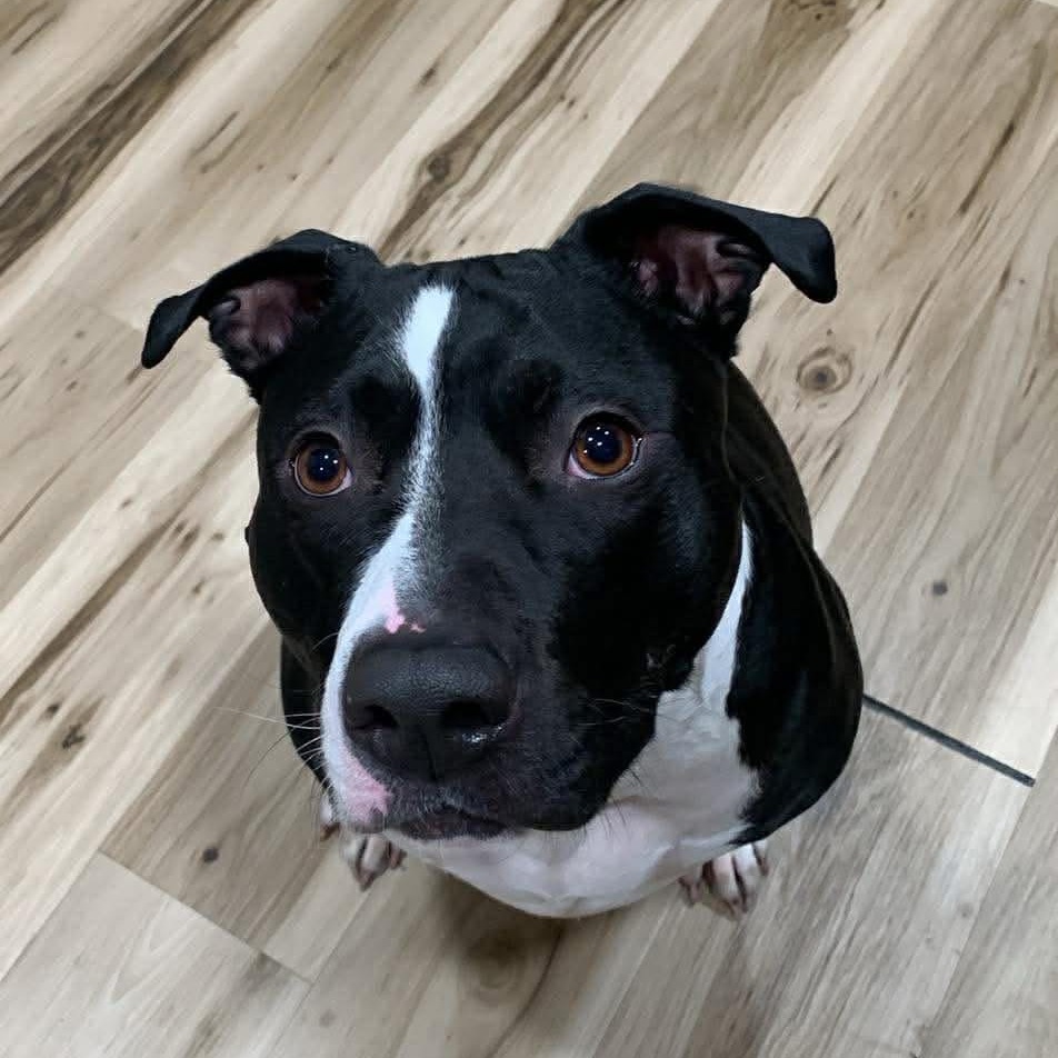 Photo of General Tso 88