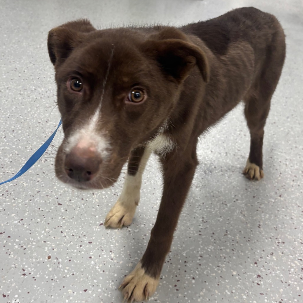 Bristol — thumbnail 8