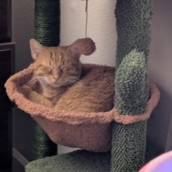 Hot Honey picture #5