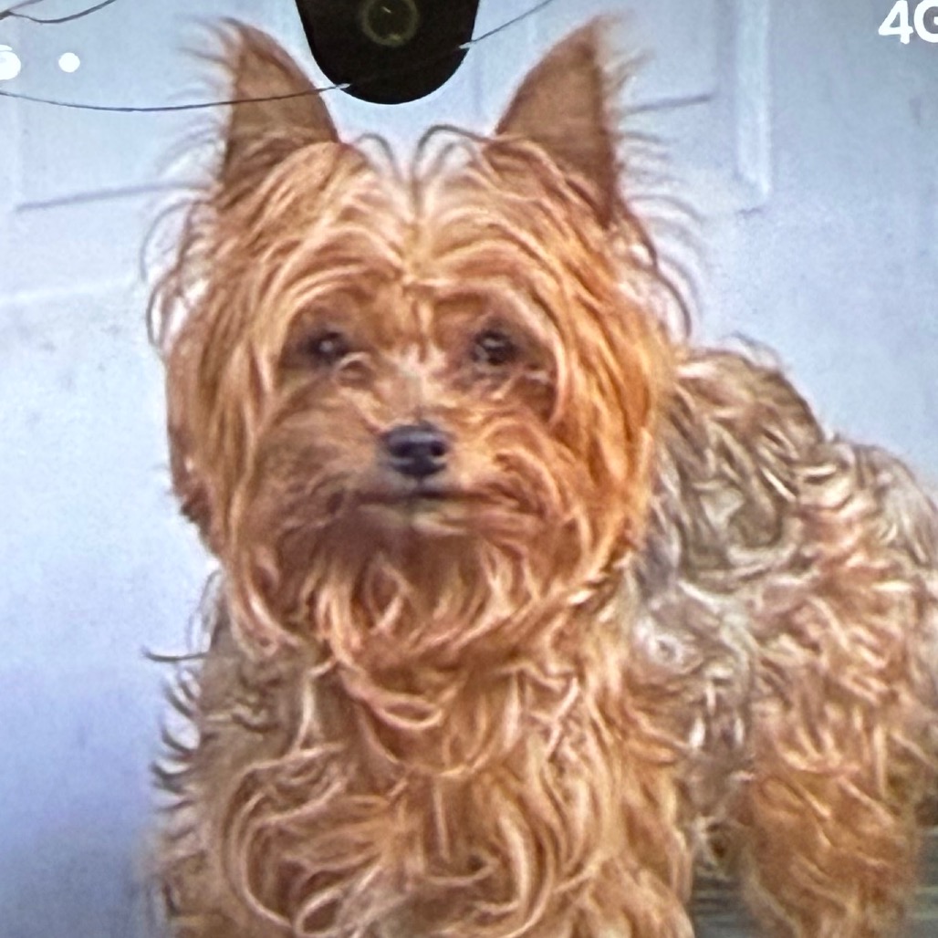 Photo of Sasha 3