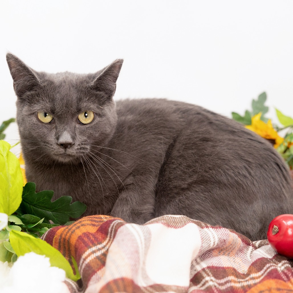 Loretta — thumbnail 5