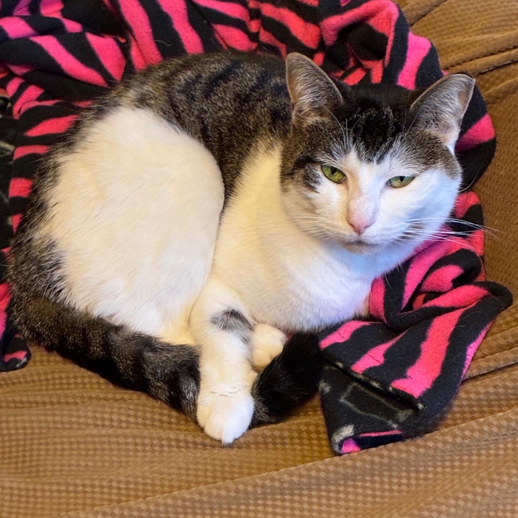 Lucy, photo 5