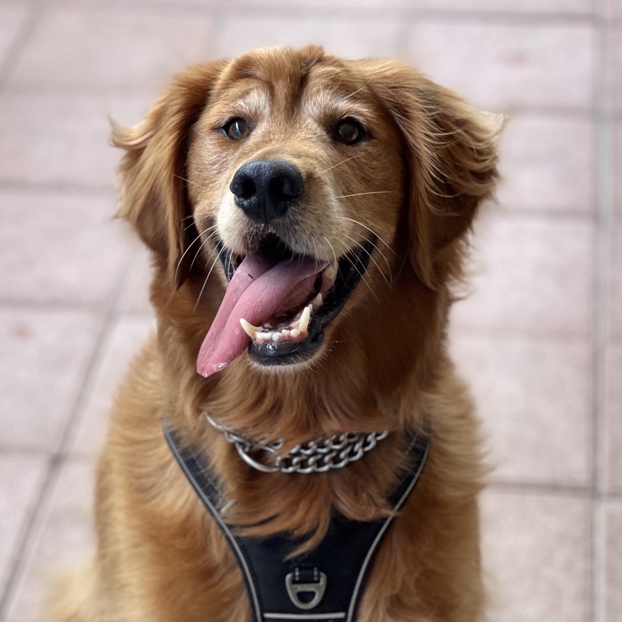 Another portrait of Franklin