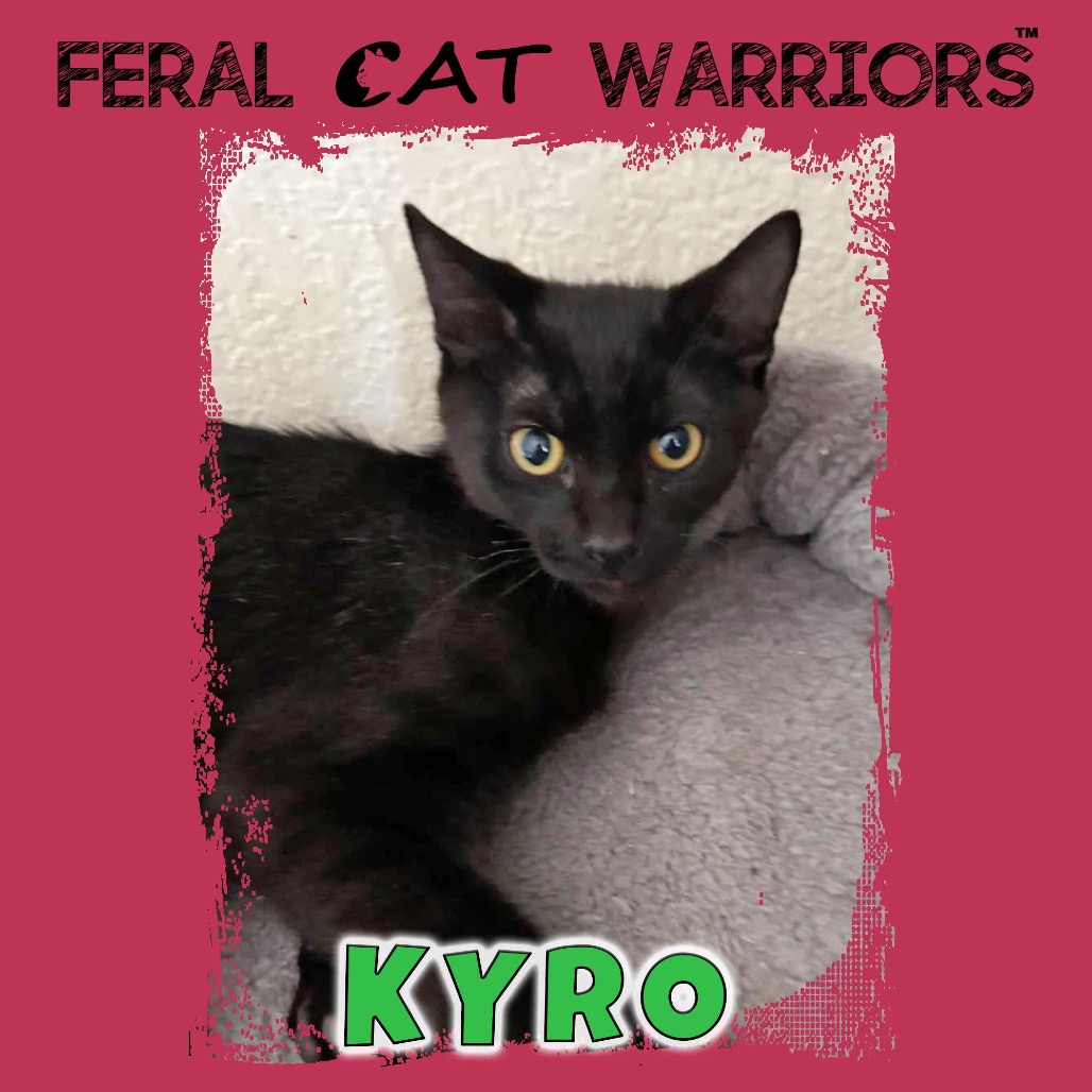 Kyro