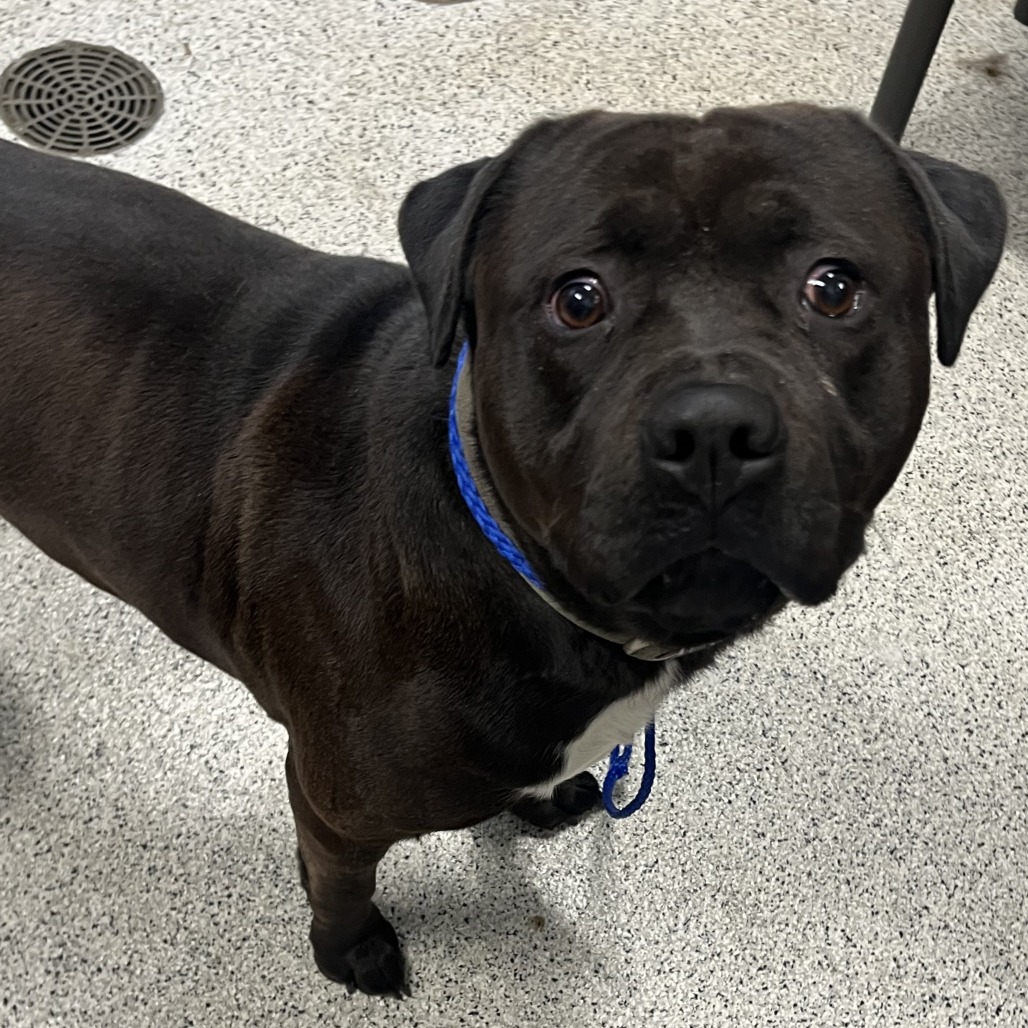 Loverboy — thumbnail 2