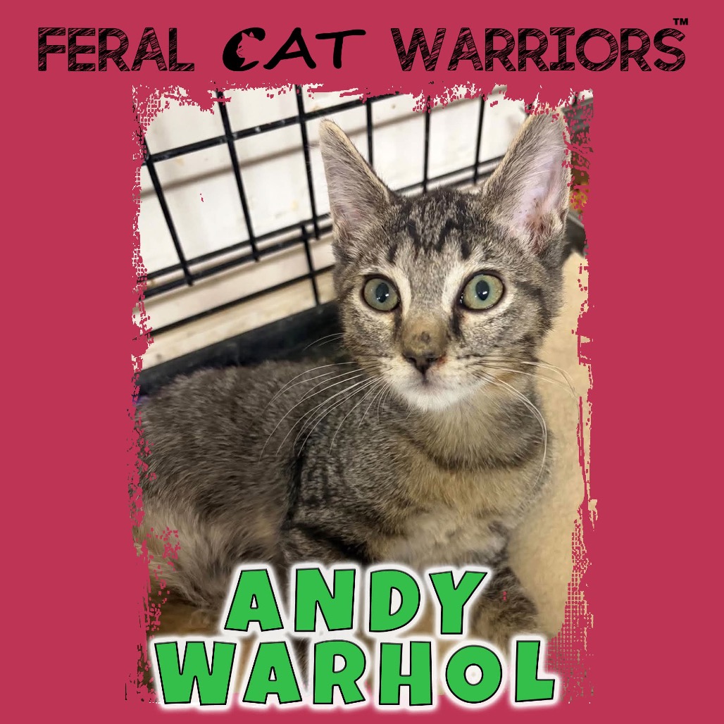Andy Warhol 