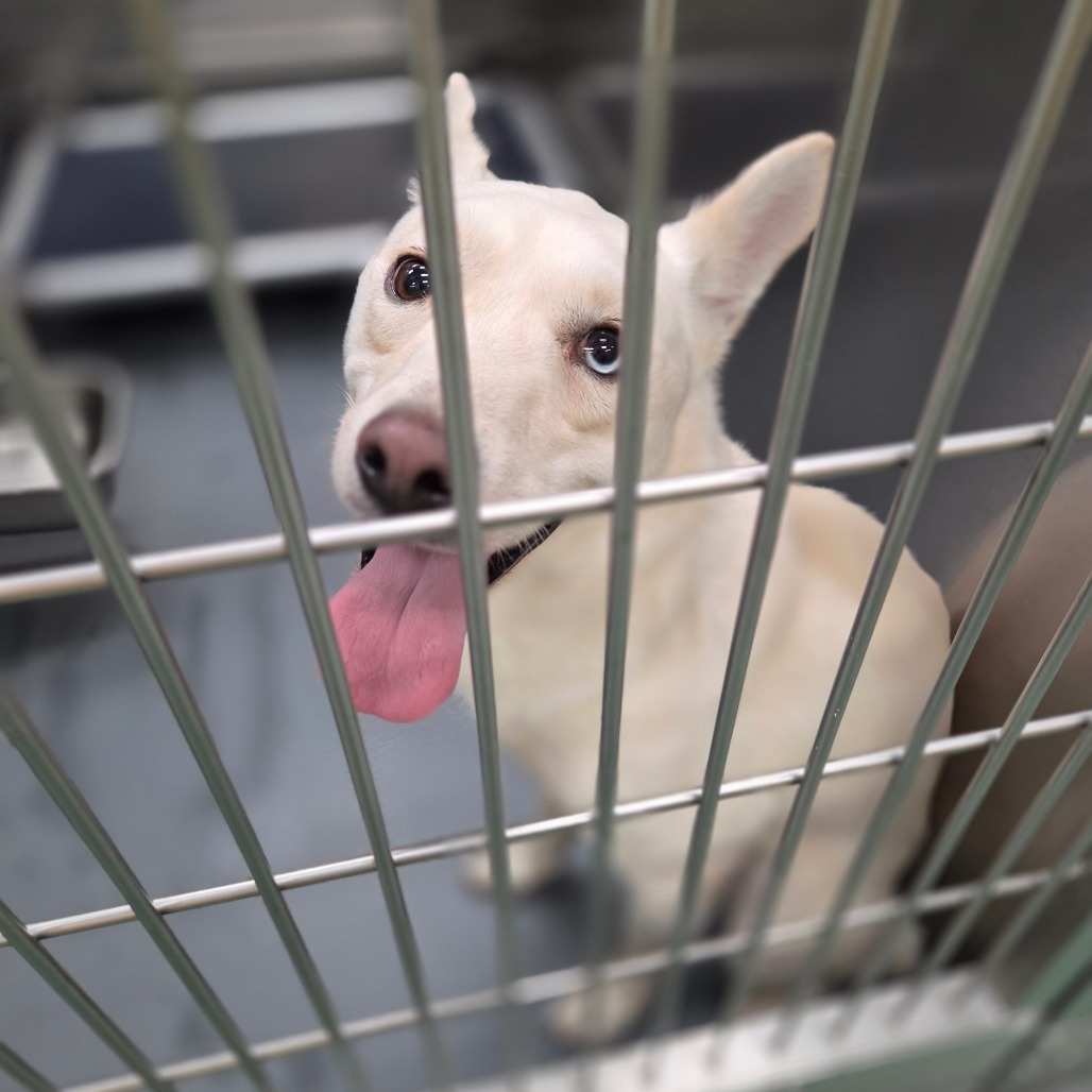 Pablo Picasso — thumbnail 3