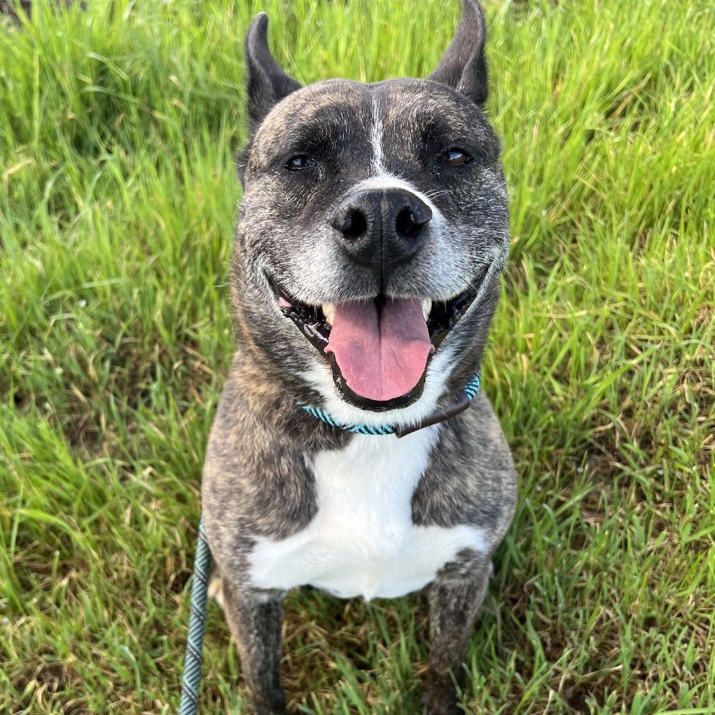 QUINCY — thumbnail 2