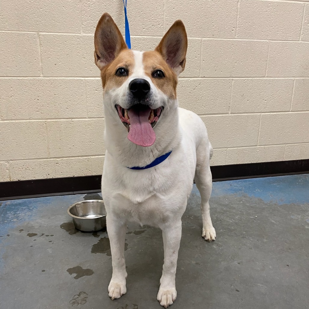 Marvel — thumbnail 2