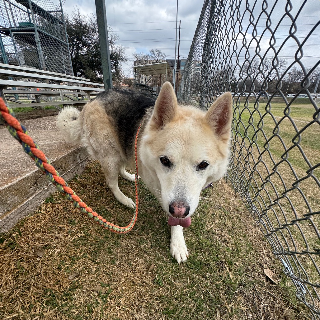 Stormy Weather — thumbnail 11