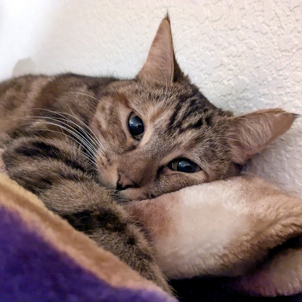 Olivia — thumbnail 3