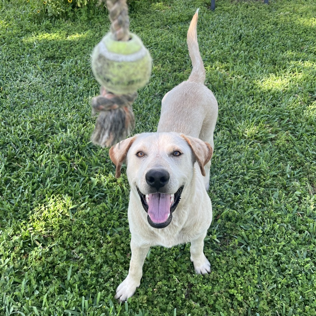 Happy