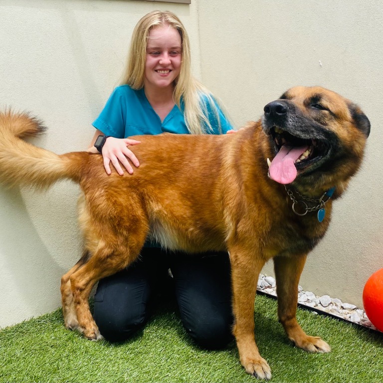 Full body shot of Sampson