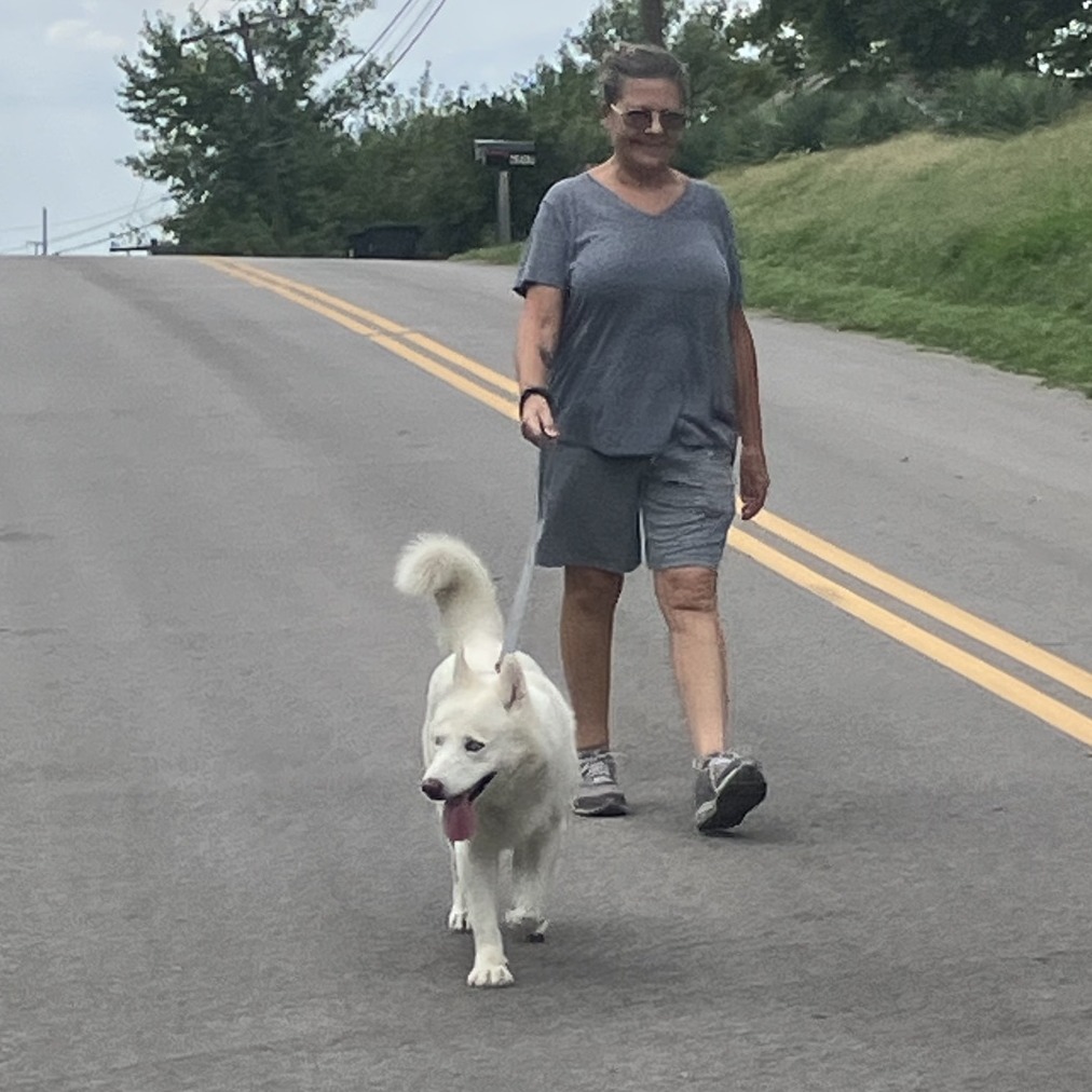 Aspen, photo 15