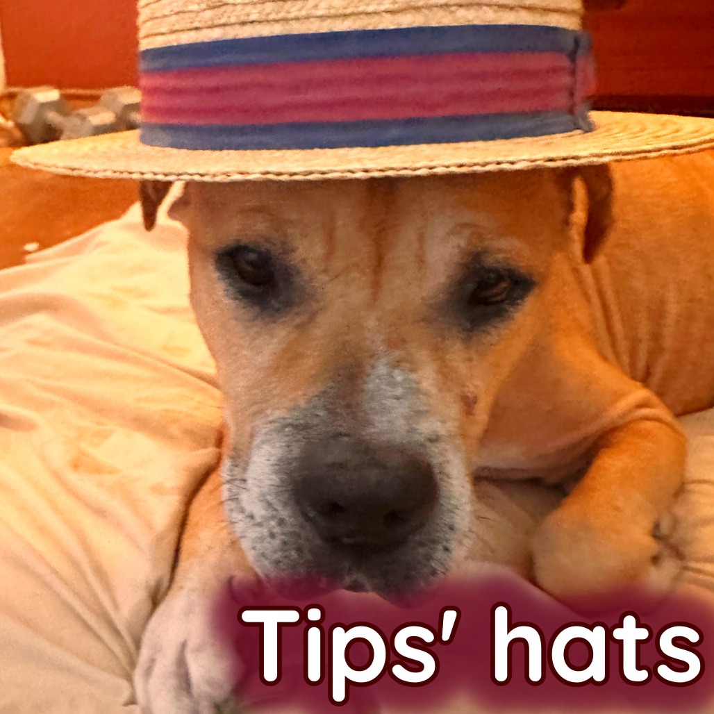 Tips Bella, additional photo