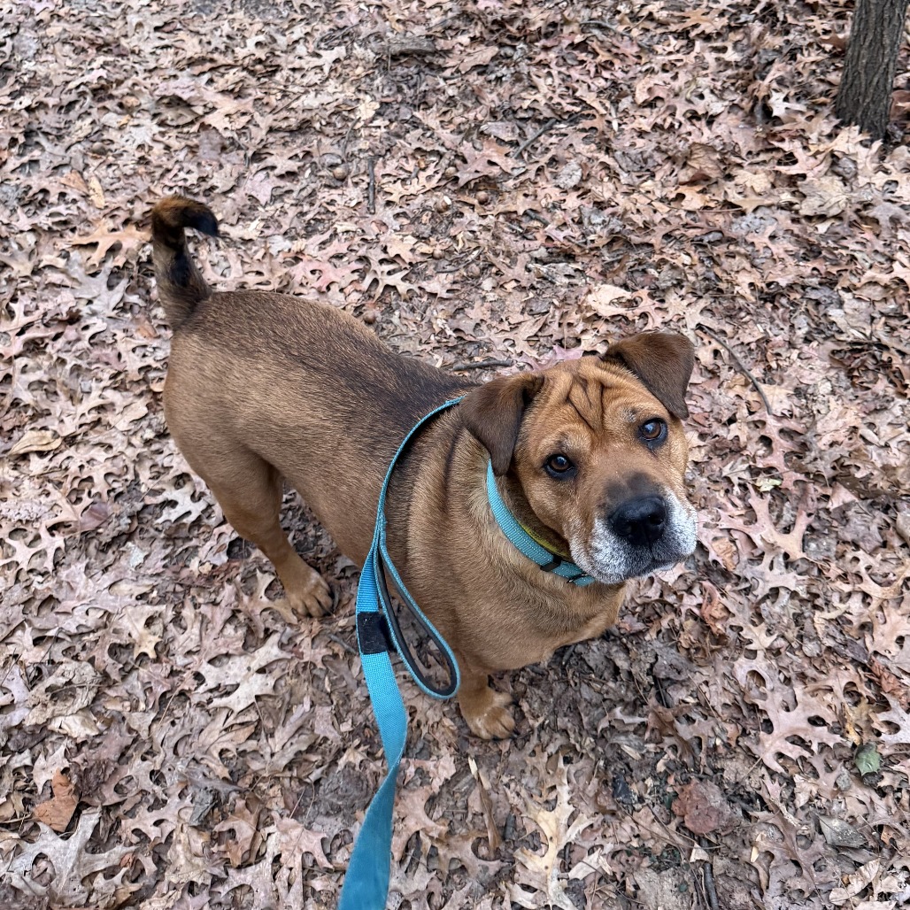 Zoey, photo 25