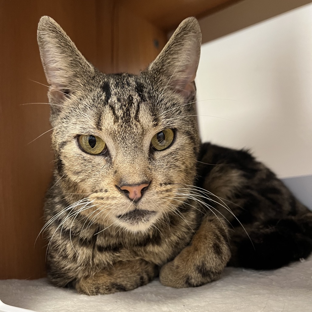 6131bfe3b174d0313f81169f2773d210