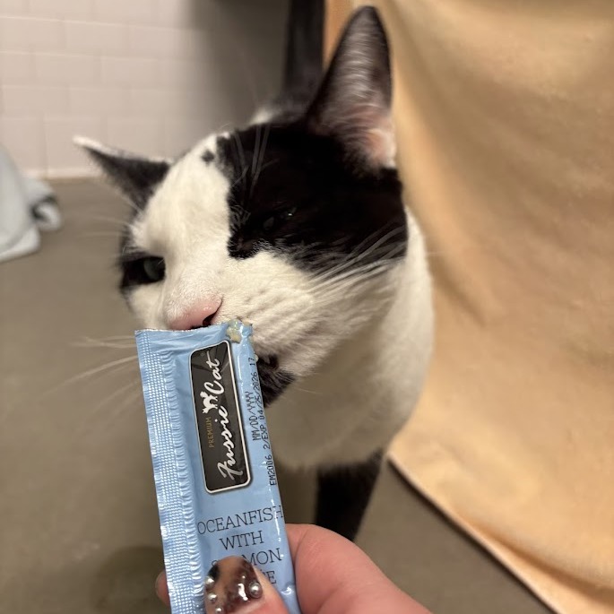 Photo of QZ and Freddy 23