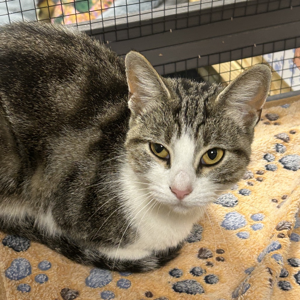 Sunkist — thumbnail 3