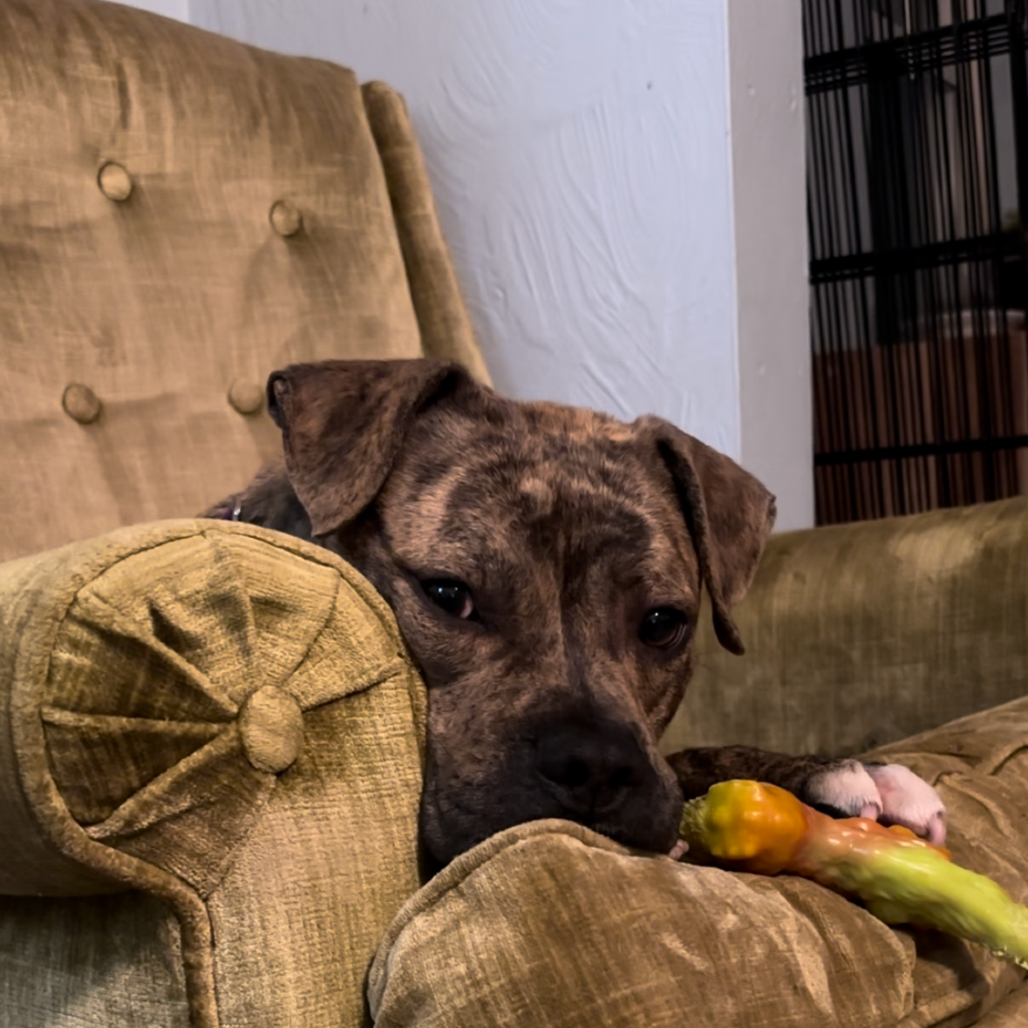 Photo of Baby Stripes 13