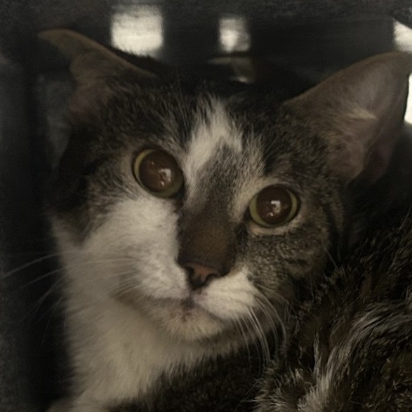 McKenna — thumbnail 2