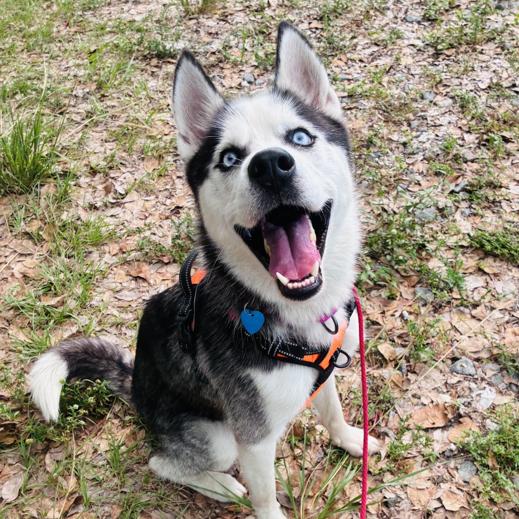 Photo of Max playing