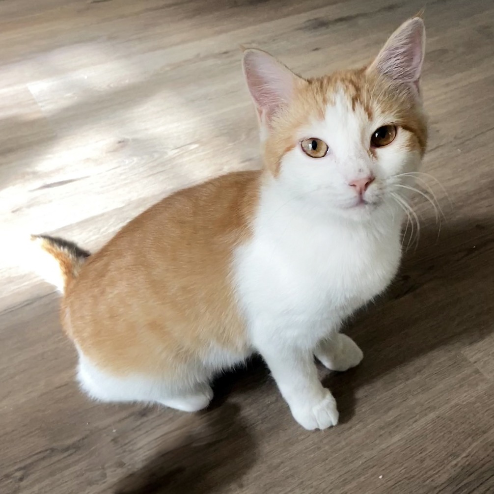 Bonnie — thumbnail 7