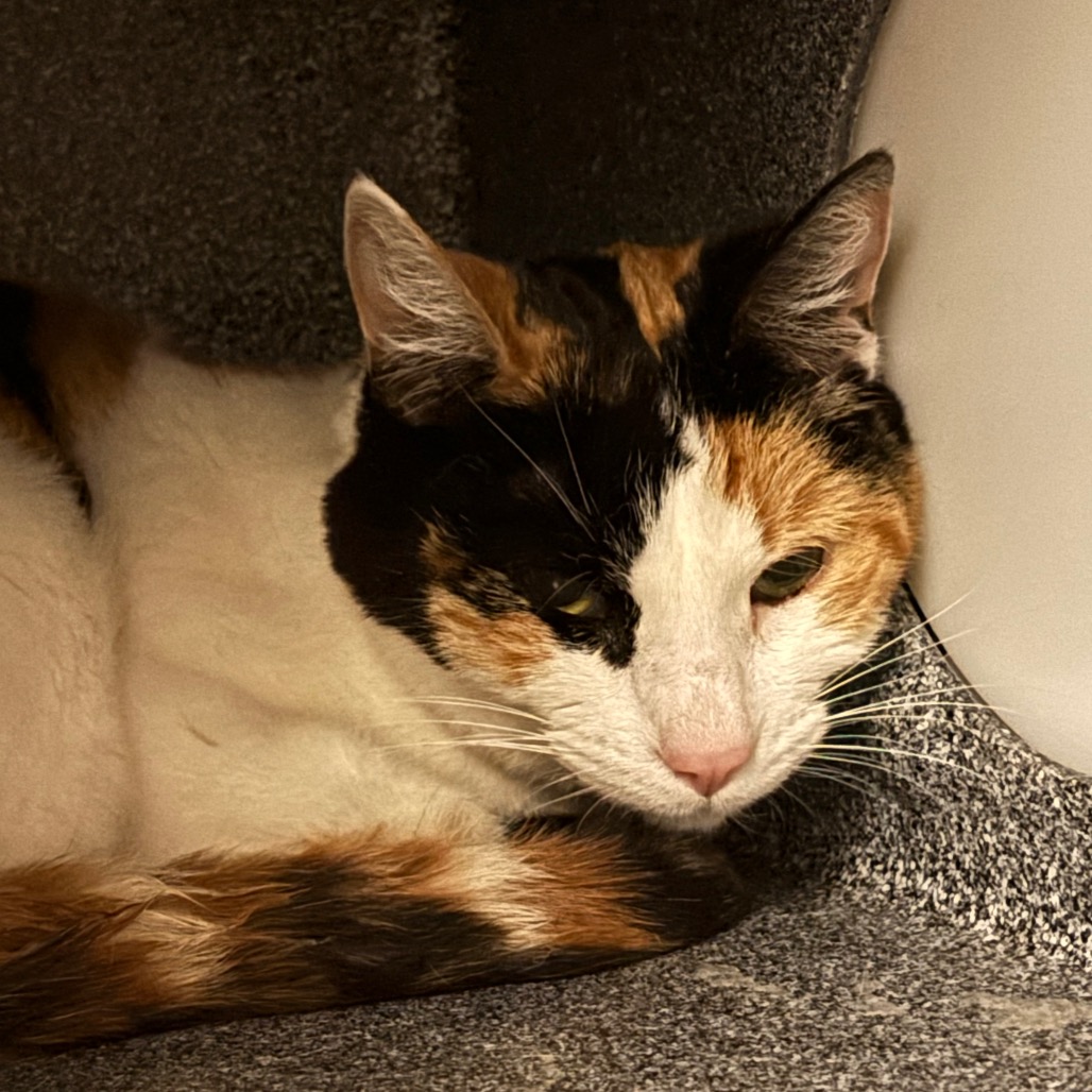 Chianti — thumbnail 2