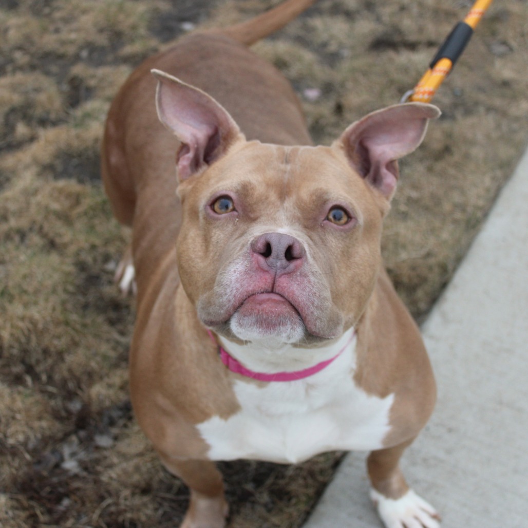 Belle — thumbnail 5