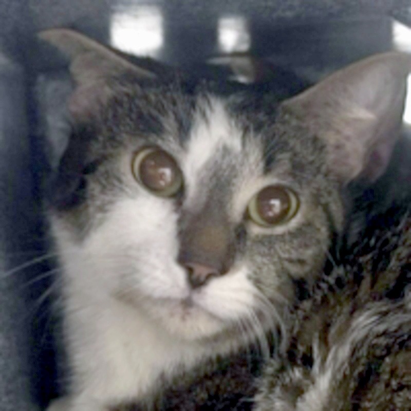 McKenna — thumbnail 3