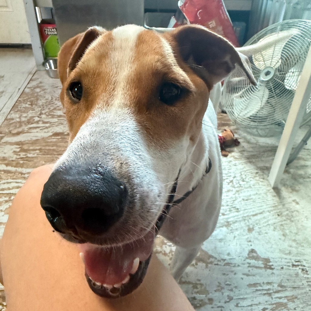 DIEGO JR., photo 20