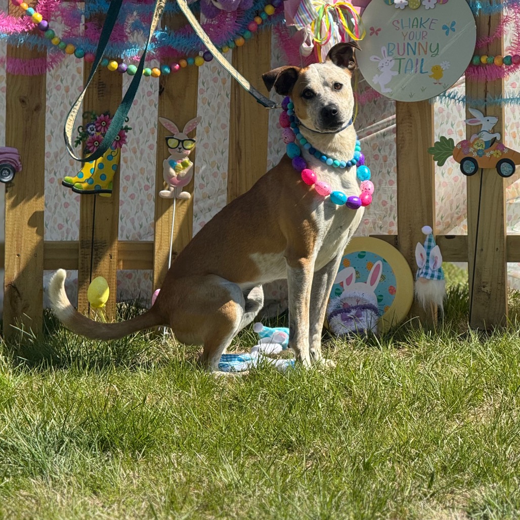 Buster, photo 11
