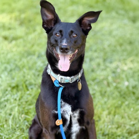 Benny photo 2