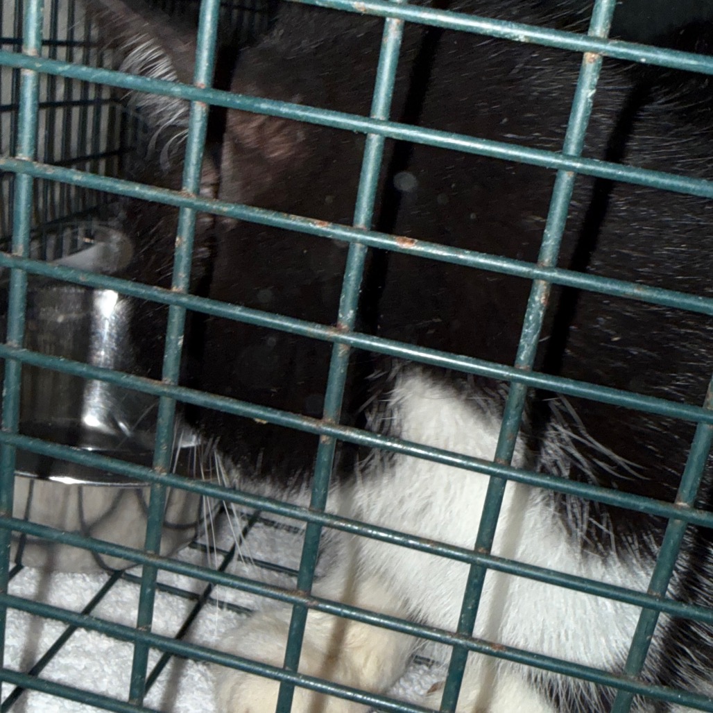 293f8f5955b5f1da04f4f3f88df376e1