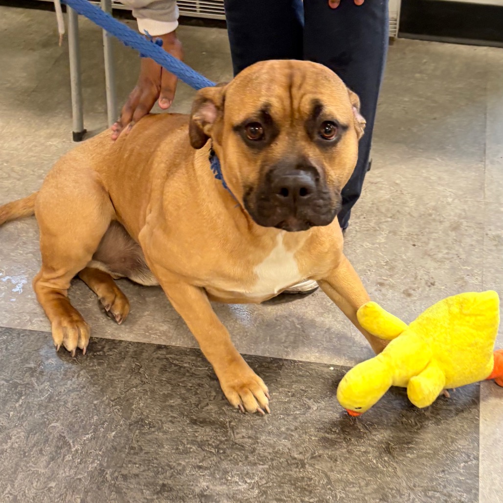 Retro — thumbnail 3