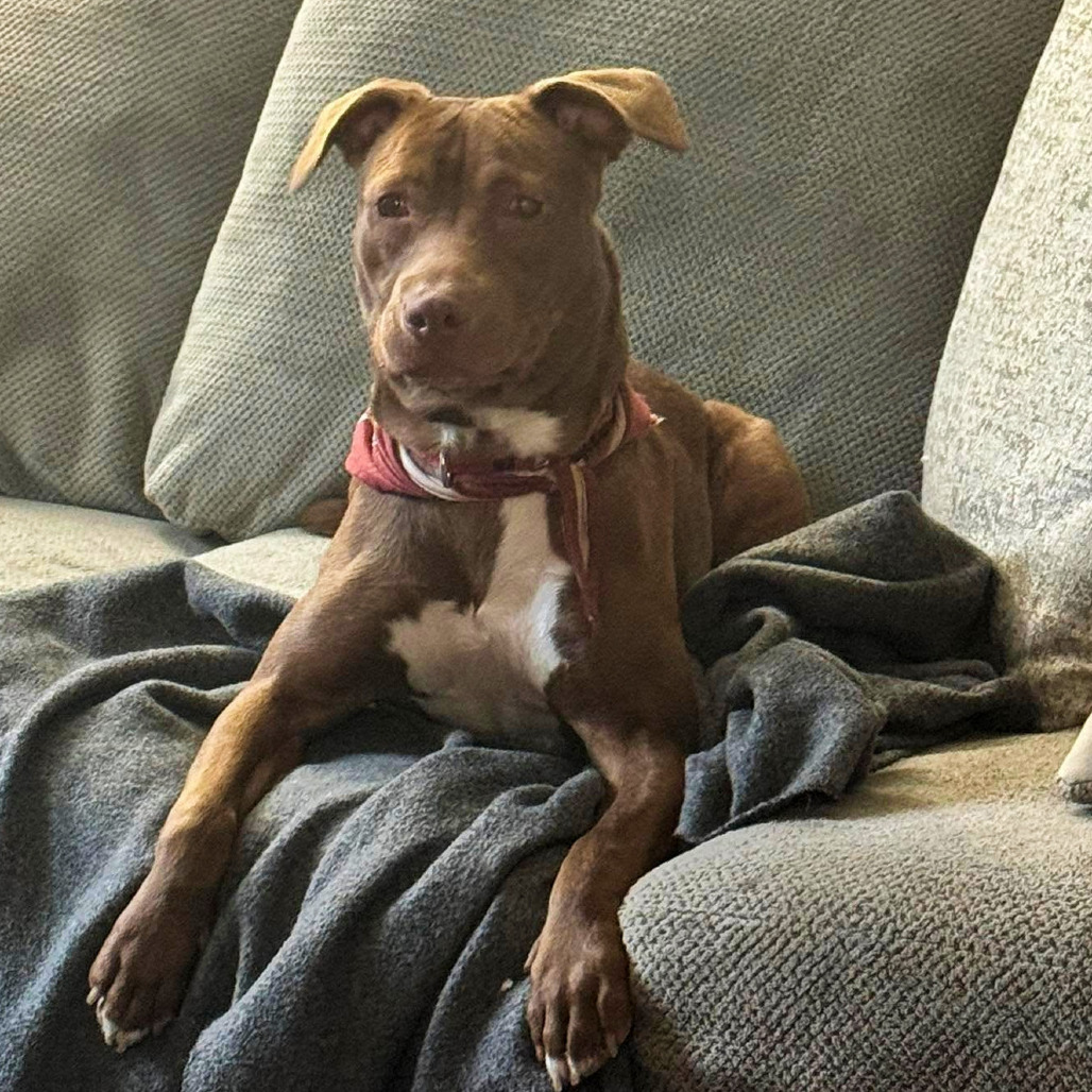 Photo of Starcraft 17