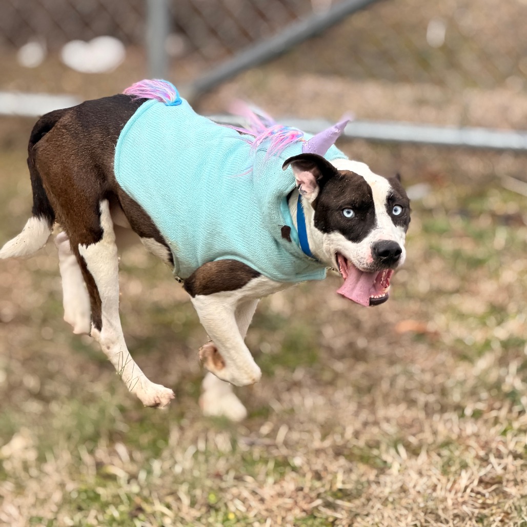 Blue — thumbnail 9